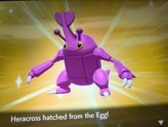 Image via Game Freak